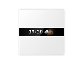 Display Switch V1 EU