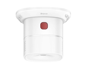 Carbon Monoxide Alarm