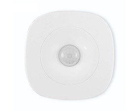 Motion Sensor Pro