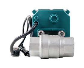 FrankEver Smart water valve DN25, 1