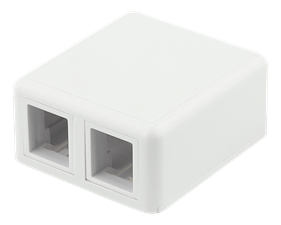 DELTACO Surface-mounted Keystone Wall Outlet, 2 ports, white